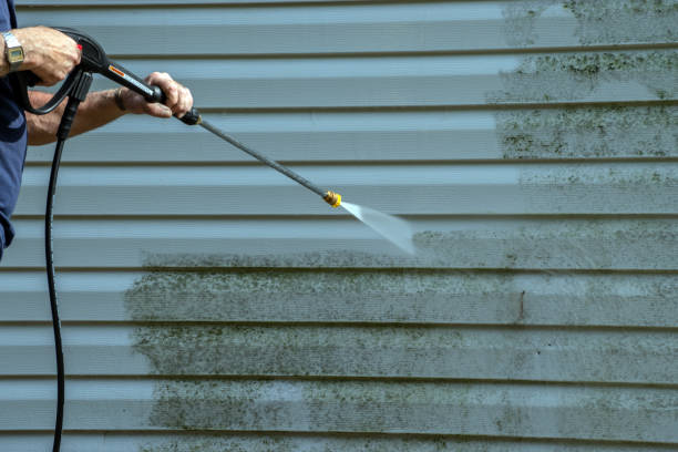 Best Roof Pressure Washing  in Shougal, WA